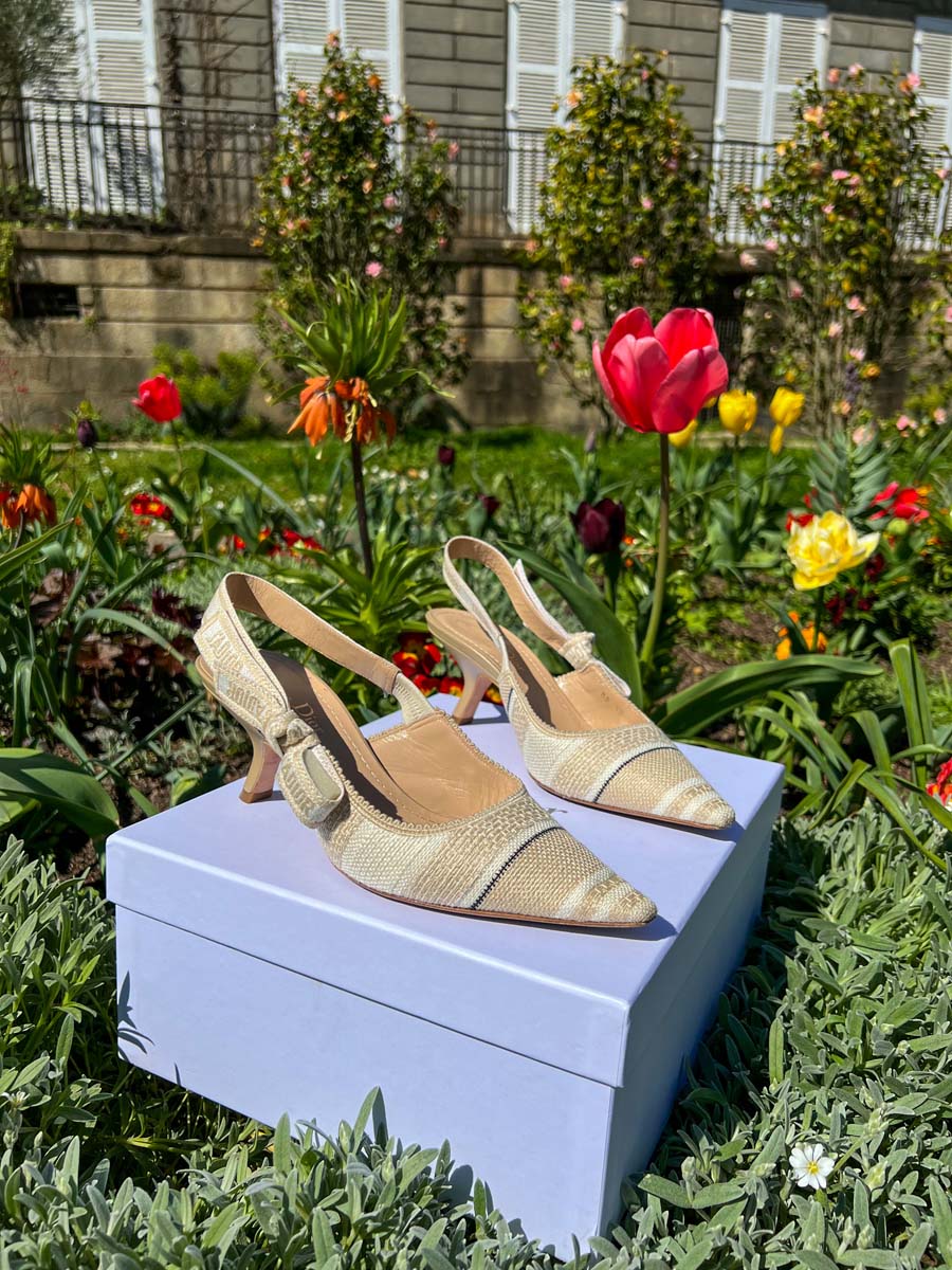 Les Songes Nantes Slingback Dior